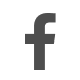 Large Facebook Icon