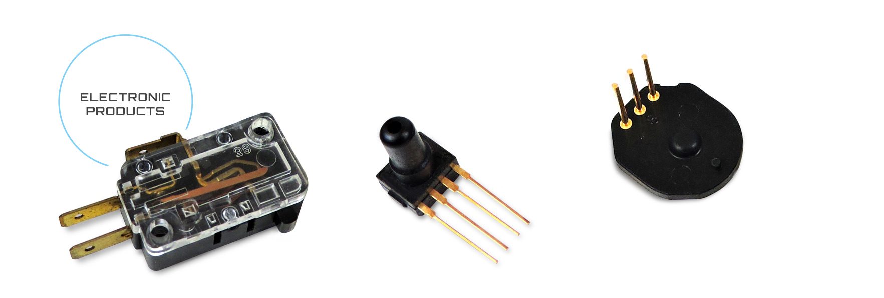 Electronic Products